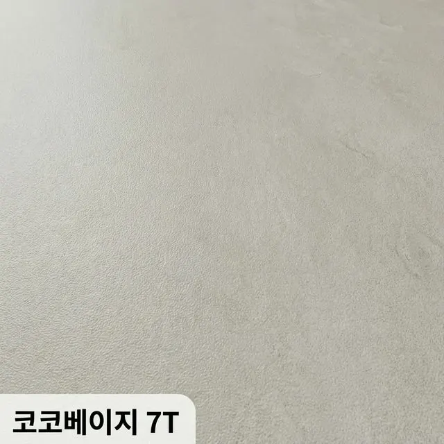 JINSUNG SPC 코코베이지